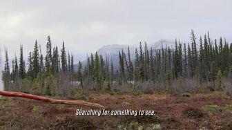 Alone S13E05 1080p HEVC x265-MeGusta