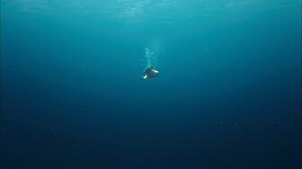 LEGENDA MARII ALBASTRE (2016) S01E03